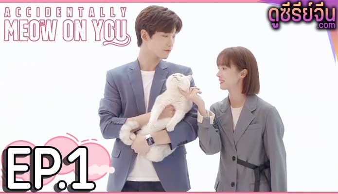 Accidentally Meow on You เหมียวเหมียวเกี่ยวใจให้เจอรัก (ซับไทย) ตอนที่ 1