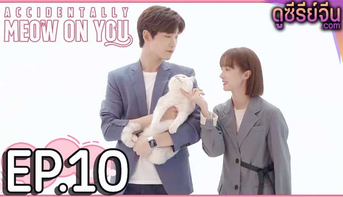 Accidentally Meow on You เหมียวเหมียวเกี่ยวใจให้เจอรัก (ซับไทย) ตอนที่ 10