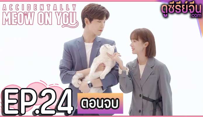 Accidentally Meow on You เหมียวเหมียวเกี่ยวใจให้เจอรัก (ซับไทย) ตอนที่ 24 (ตอนจบ)