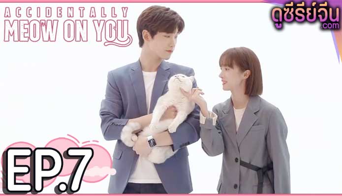 Accidentally Meow on You เหมียวเหมียวเกี่ยวใจให้เจอรัก (ซับไทย) ตอนที่ 7